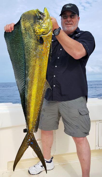 Angler posing with Dorado, also known as ‘Mahi-Mahi’ or ‘Dolphin’