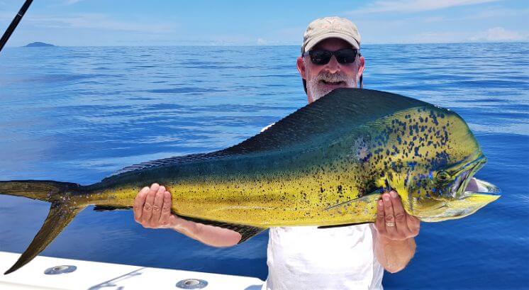 Angle posing with Dorado, also known as ‘Mahi-Mahi’ or ‘Dolphin . Isla Montuosa, Panama in background.
