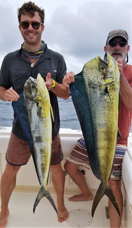 Two anglers posing with Dorado, also known as ‘Mahi-Mahi’ or ‘Dolphin’