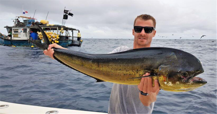 Angler posing with dorado, commercial Panama fishing vessel in background