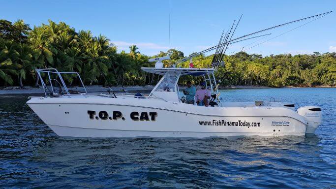 The "T.O.P. CAT" one of our World Cats at Sport Fish Panama Island Lodge