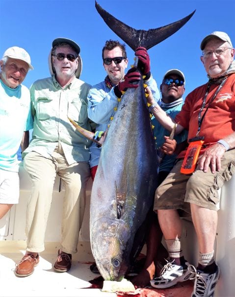 Five anglers posing with 100 pound Yellowfin tuna