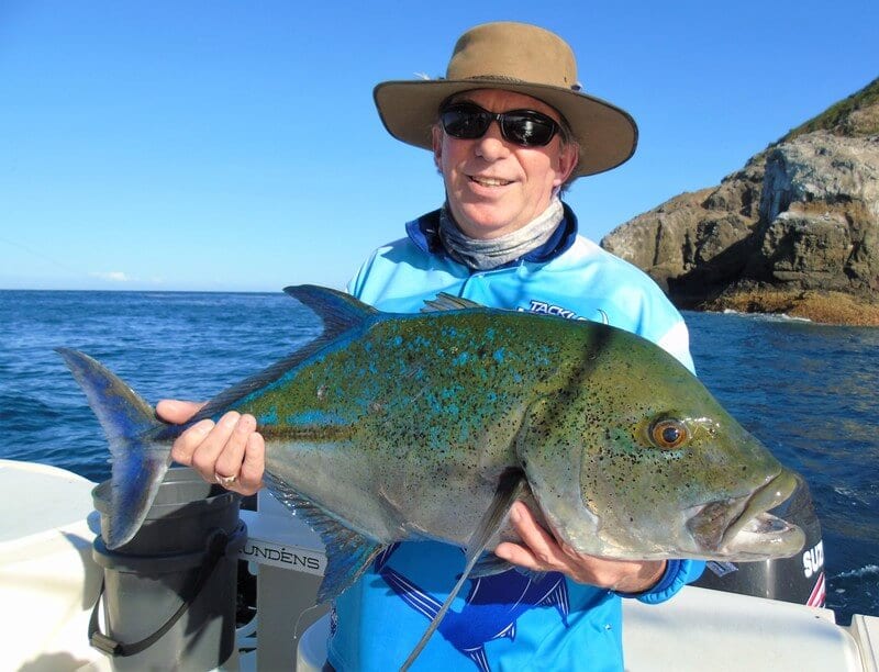 blue trevalle panama