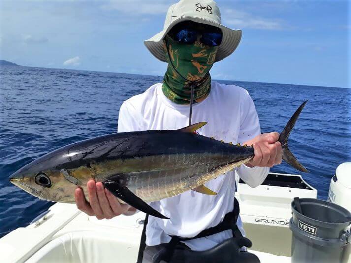 angler posing with small yellowfin tuna. Isla Montuosa, Panama in background.