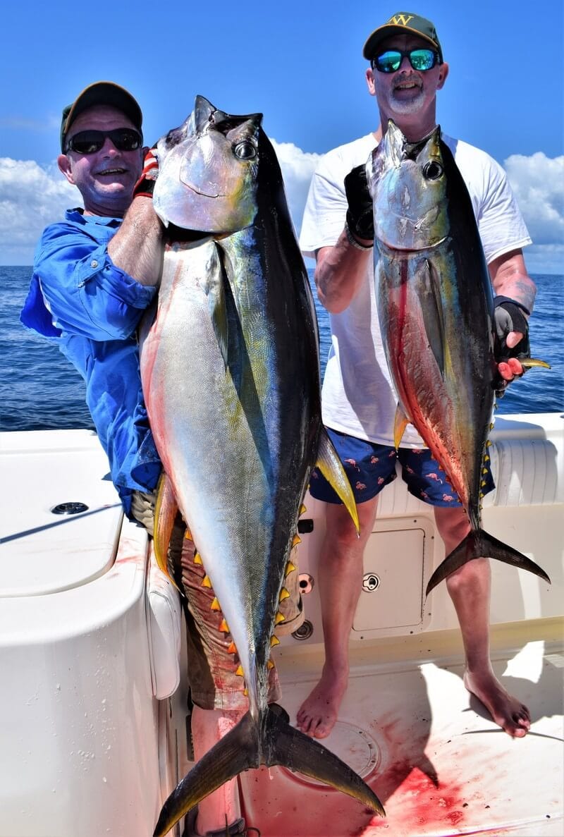 yellowfin tuna panama