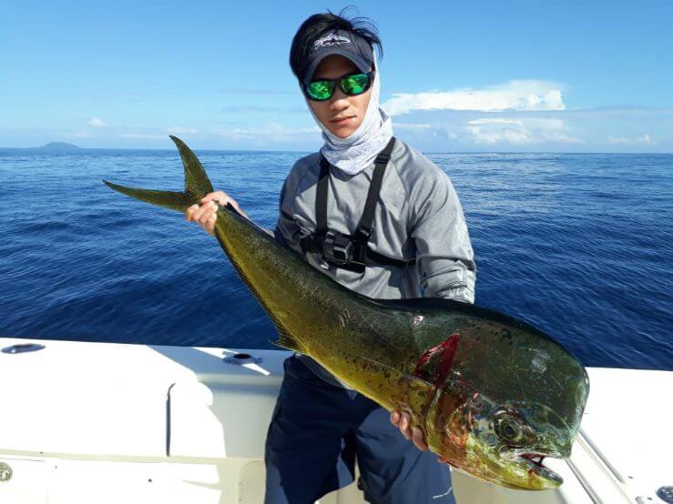 Angler posing with Dorado, also known as ‘Mahi-Mahi’ or ‘Dolphin’ Isla Montuosa, Panama in background.