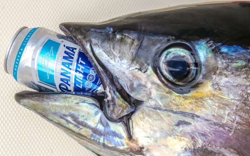 www.FishPanamaToday.com