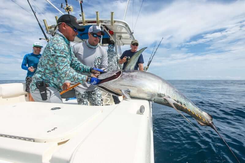 www.FishPanamaToday.com