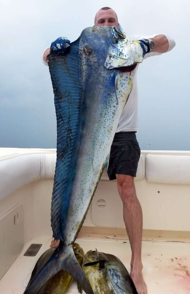 panama fishing report