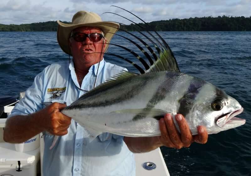 panama rooster fishing
