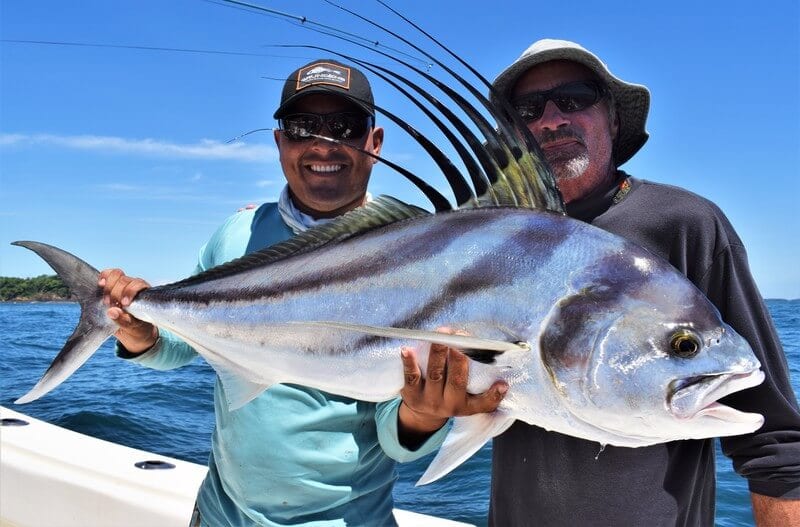roosterfish panama