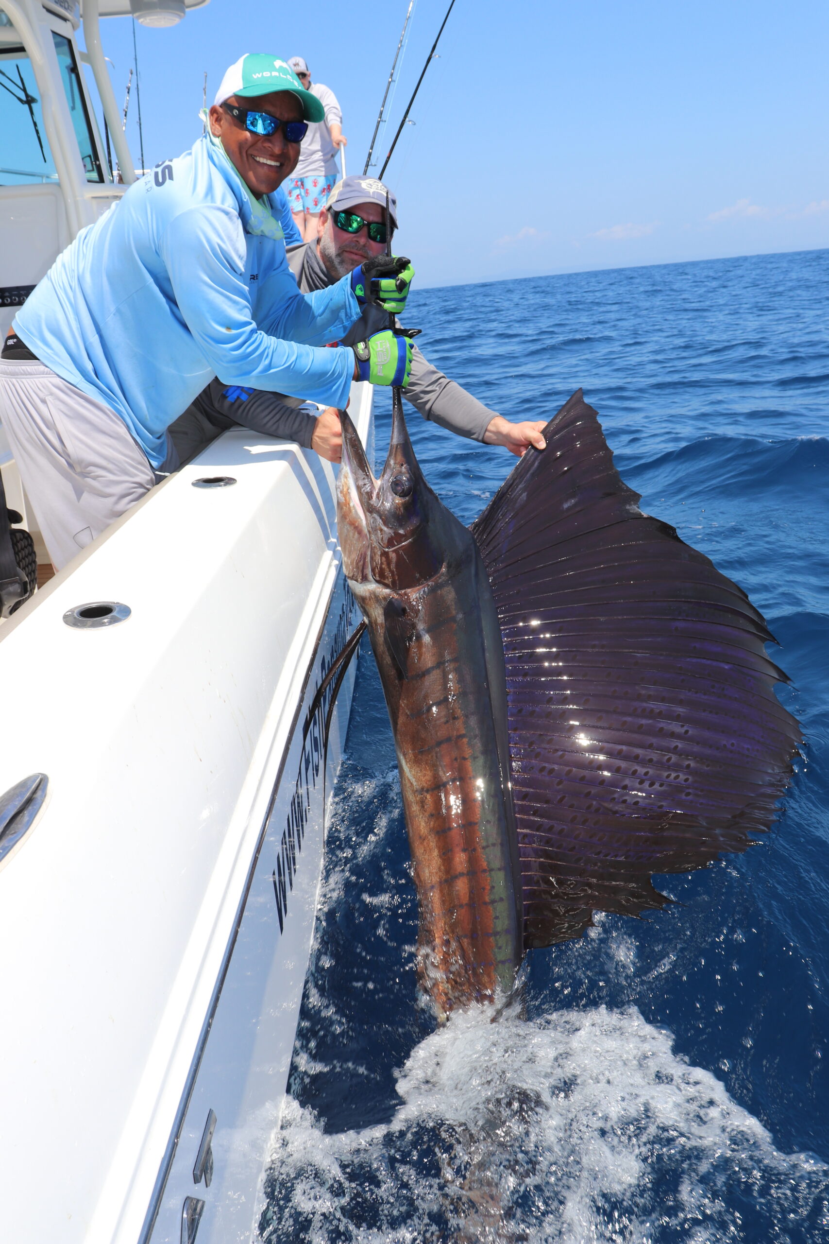 Mate holding Pacific Mate releasing a Pacific Sailfish