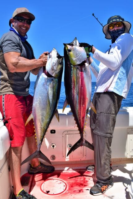 two anglers posing with two small yellowfin tunas