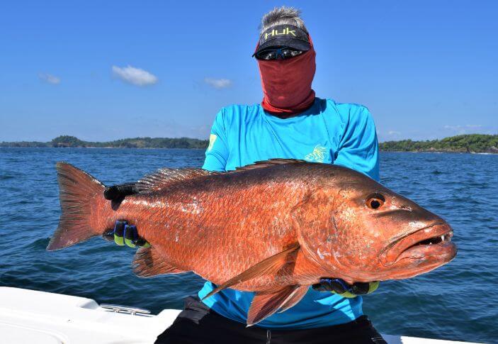 Angler with Huk hat posing with cubera snapper. Isla Parida, Panama in the background.