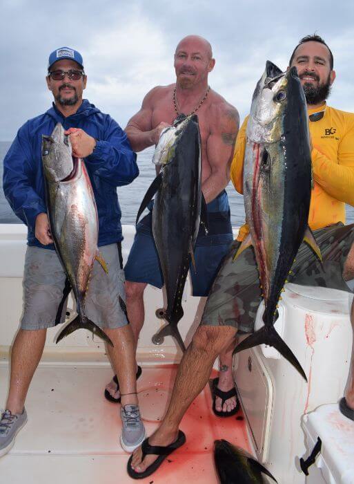 3 Smiling anglers holding 3 Yellowfin tunas