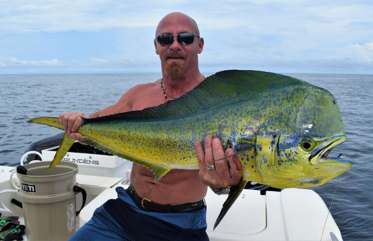 angler posing with bull Dorado, also known as ‘Mahi-Mahi’ or ‘Dolphin’