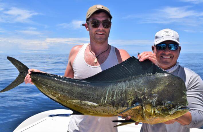 Mate and angler posing with Dorado, also known as ‘Mahi-Mahi’ or ‘Dolphin’