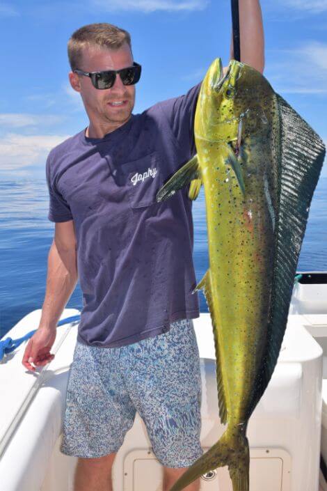 angler holding a Dorado, also known as ‘Mahi-Mahi’ or ‘Dolphin’