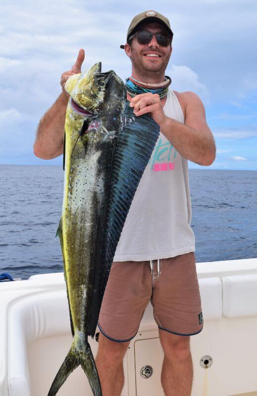 Angler posing with Dorado, also known as ‘Mahi-Mahi’ or ‘Dolphin’