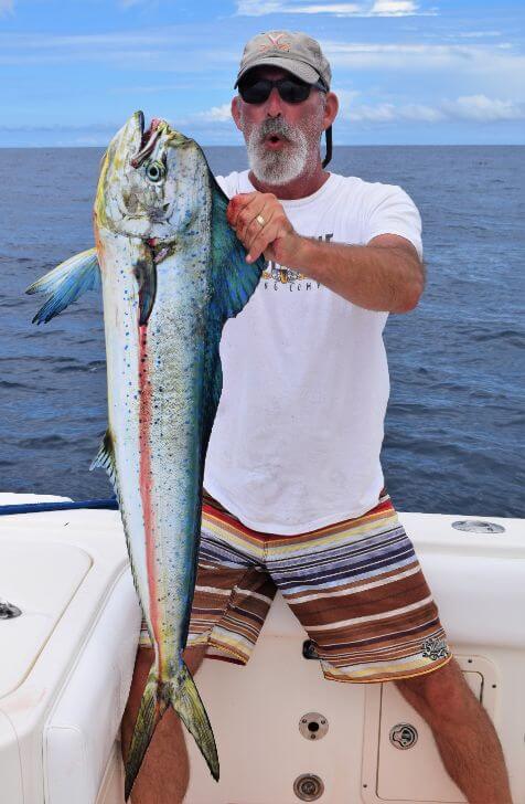 Angler posing with Dorado, also known as ‘Mahi-Mahi’ or ‘Dolphin’