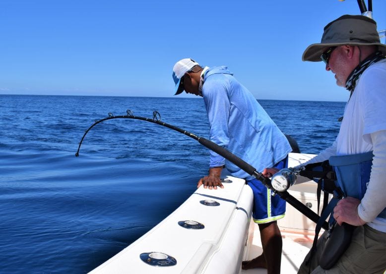 Mate watching Yellowfin tuna alongside boat with angler holding bent rod fighting the fish