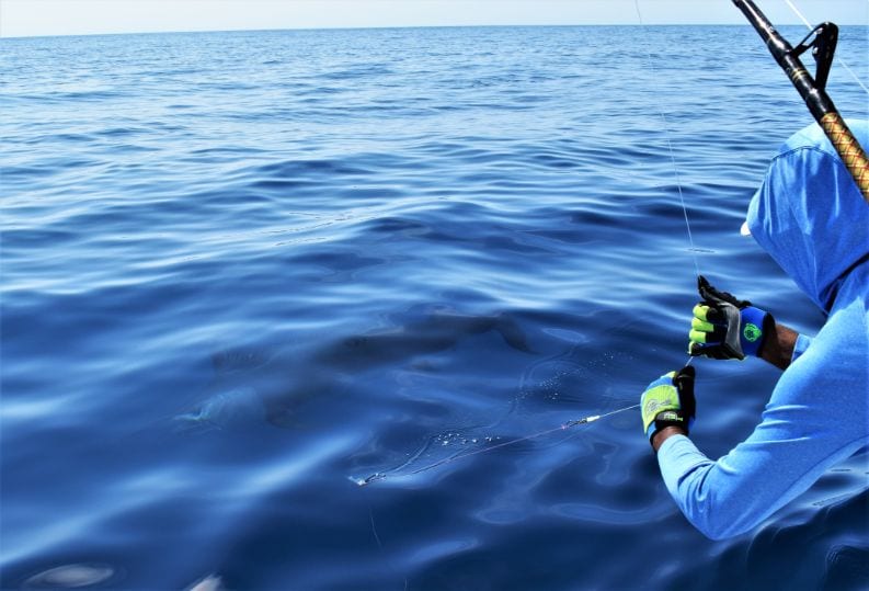 Mate with fish at the leader