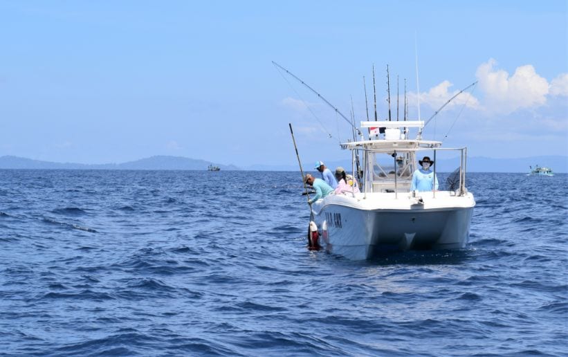 Anglers aboard the T.O.P. CAT, 33' WORLD CAT TE, bringing aboard gaffed tuna
