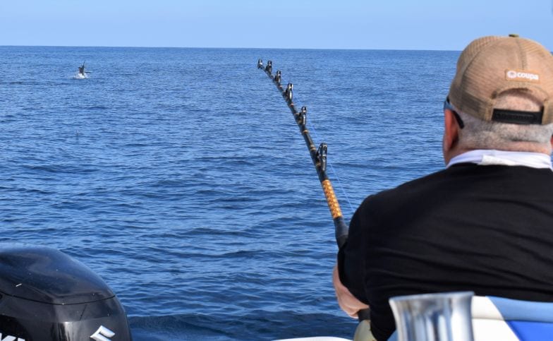 Marlin jumping out of water while hooked
