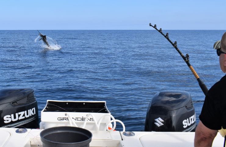 Marlin jumping out of water while hooked