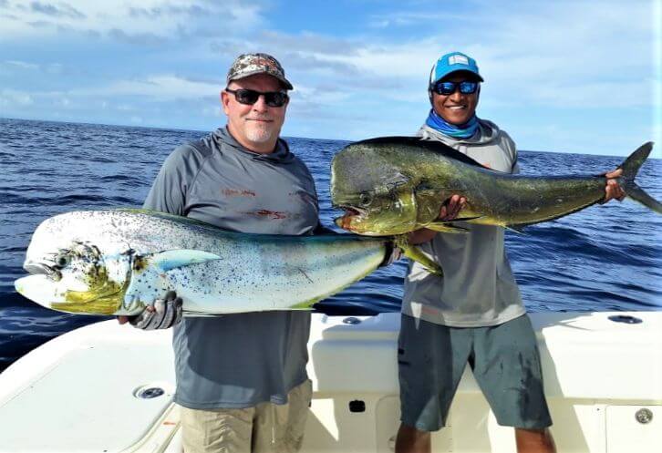 Anglers posing with Dorado, also known as ‘Mahi-Mahi’ or ‘Dolphin’