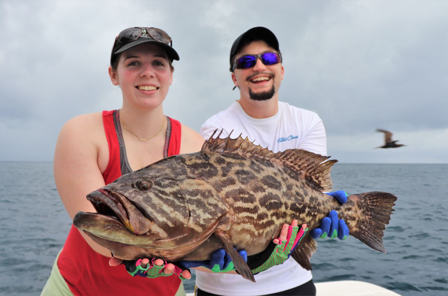Husband and wife fishing team posing with Broomtail Grouper.