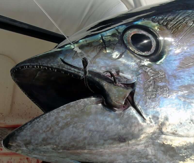 MUSTAD