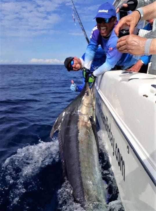 Black marlin alongside The T.O.P. CAT, 33' WORLD CAT TE