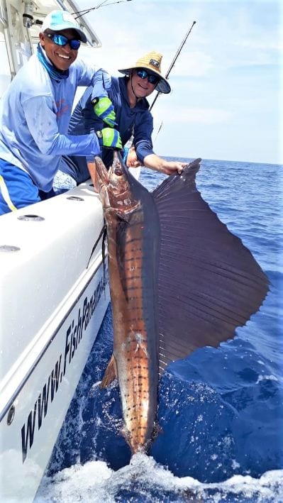 Mate releasing a sailfish while angler looks on