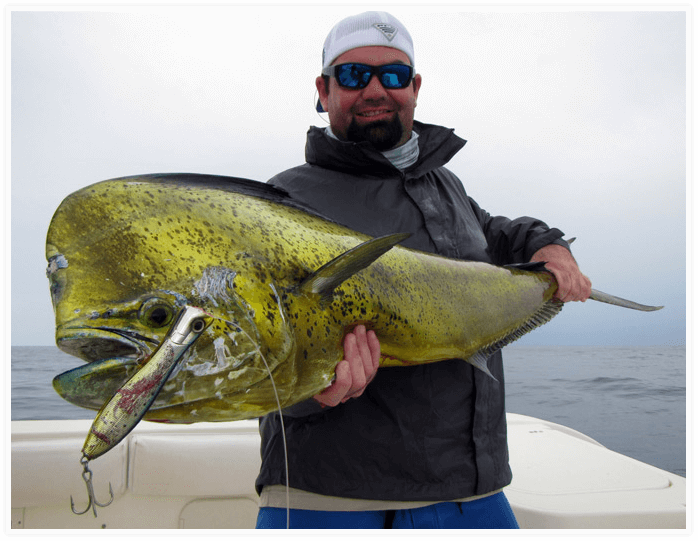 Angler posing with large bull dolphin